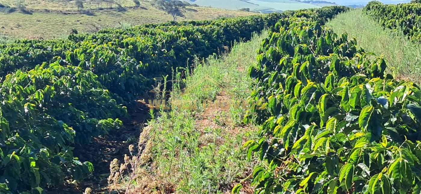 Fazenda, 32 m² - Foto 8