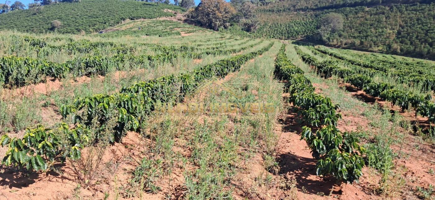 Fazenda, 32 m² - Foto 22