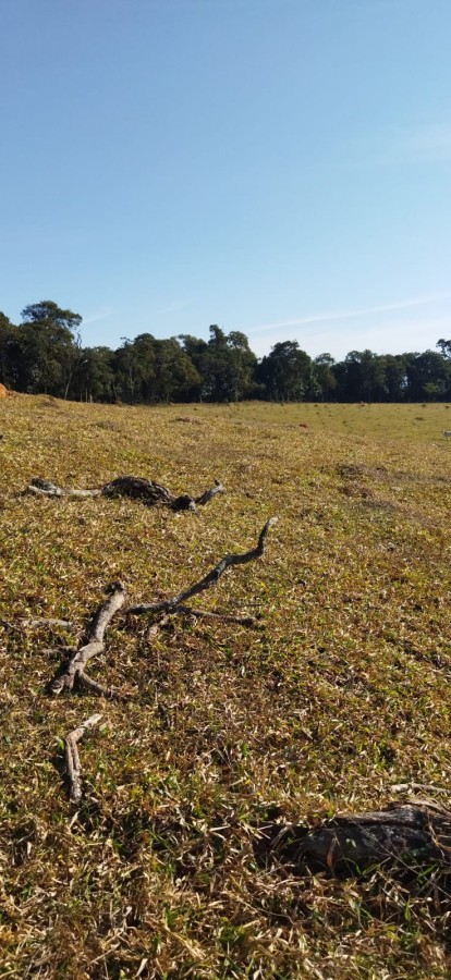 Fazenda, 75 m² - Foto 2