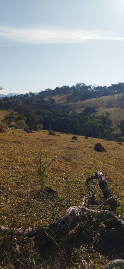 Fazenda, 75 m² - Foto 4