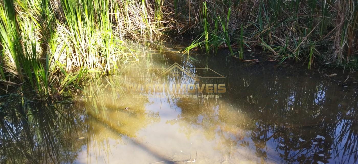 Fazenda, 75 m² - Foto 6