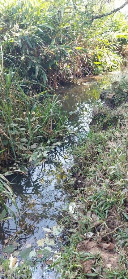 Fazenda, 75 m² - Foto 10