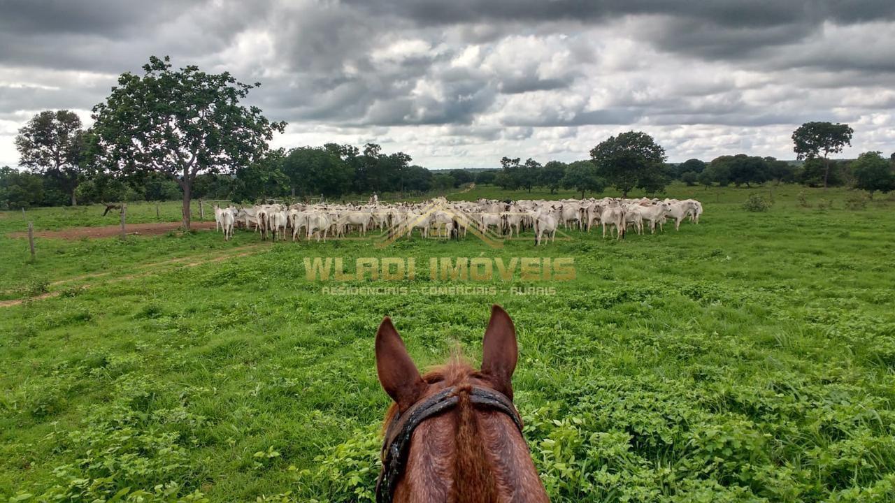 Fazenda, 1844 m² - Foto 6