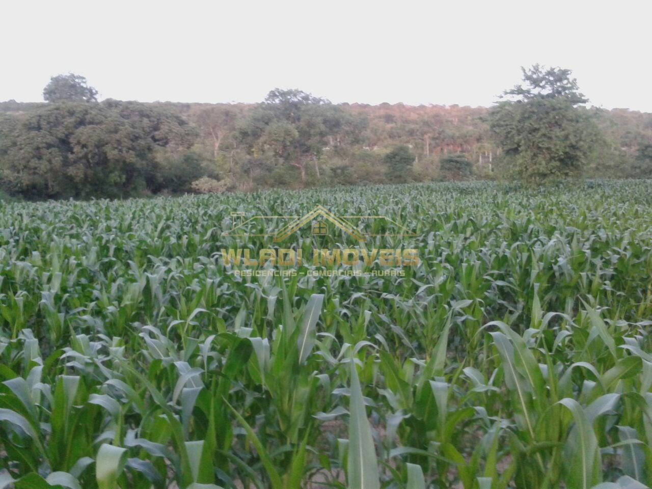 Fazenda, 1844 m² - Foto 2