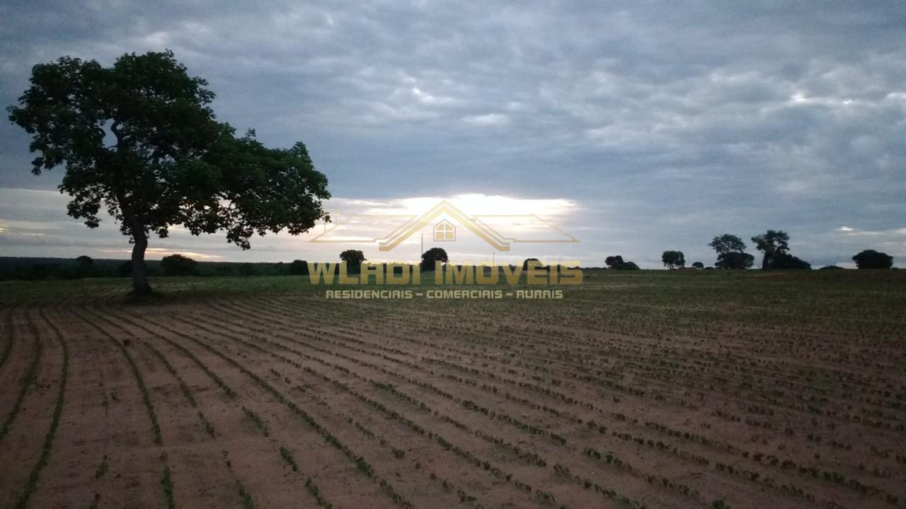 Fazenda, 1844 m² - Foto 4