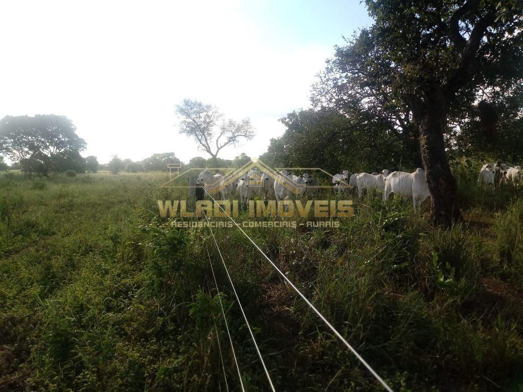 Fazenda, 1844 m² - Foto 9