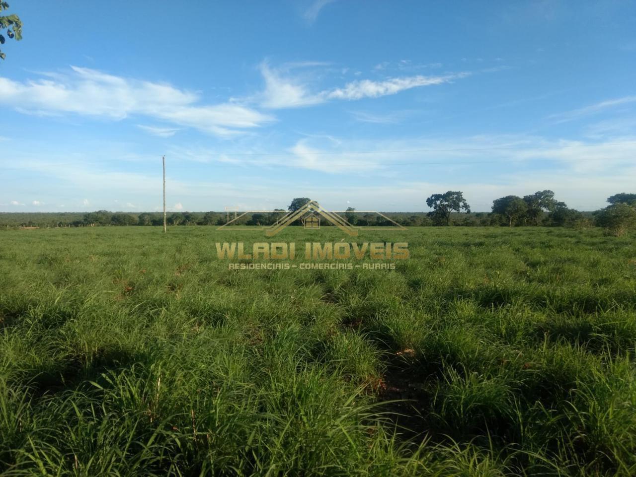 Fazenda, 1844 m² - Foto 1