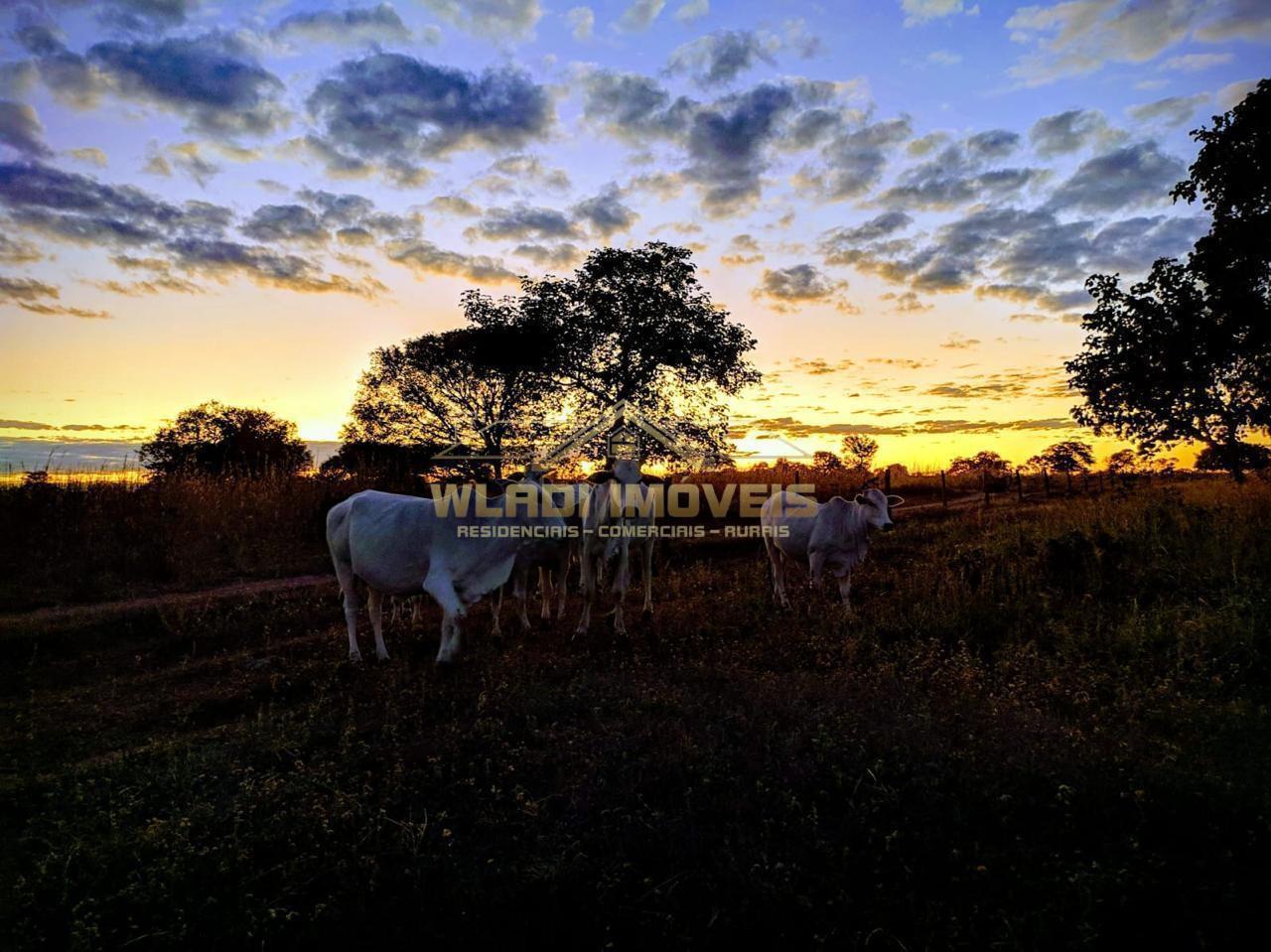 Fazenda, 1844 m² - Foto 13