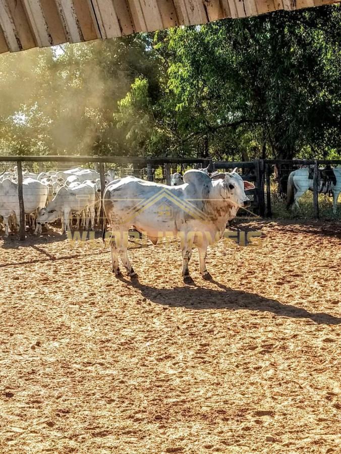 Fazenda, 1844 m² - Foto 15