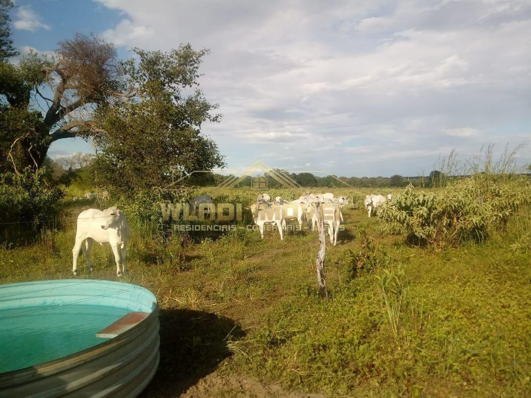 Fazenda, 1844 m² - Foto 17