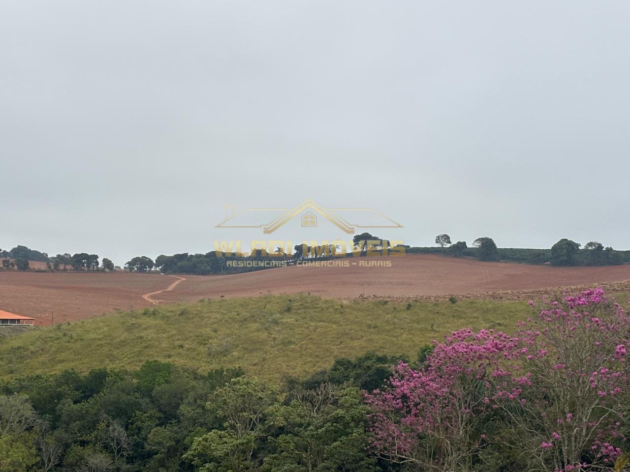 Fazenda, 45 m² - Foto 6