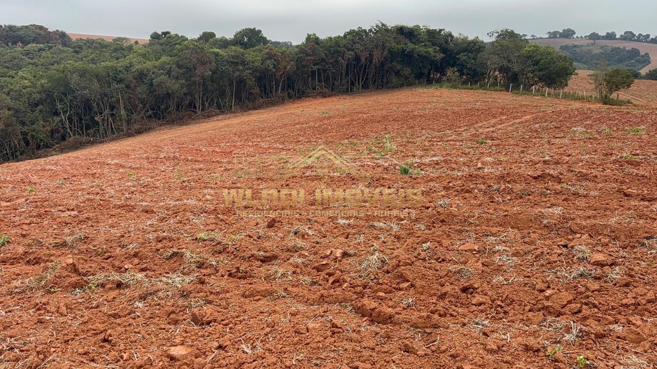 Fazenda, 45 m² - Foto 5