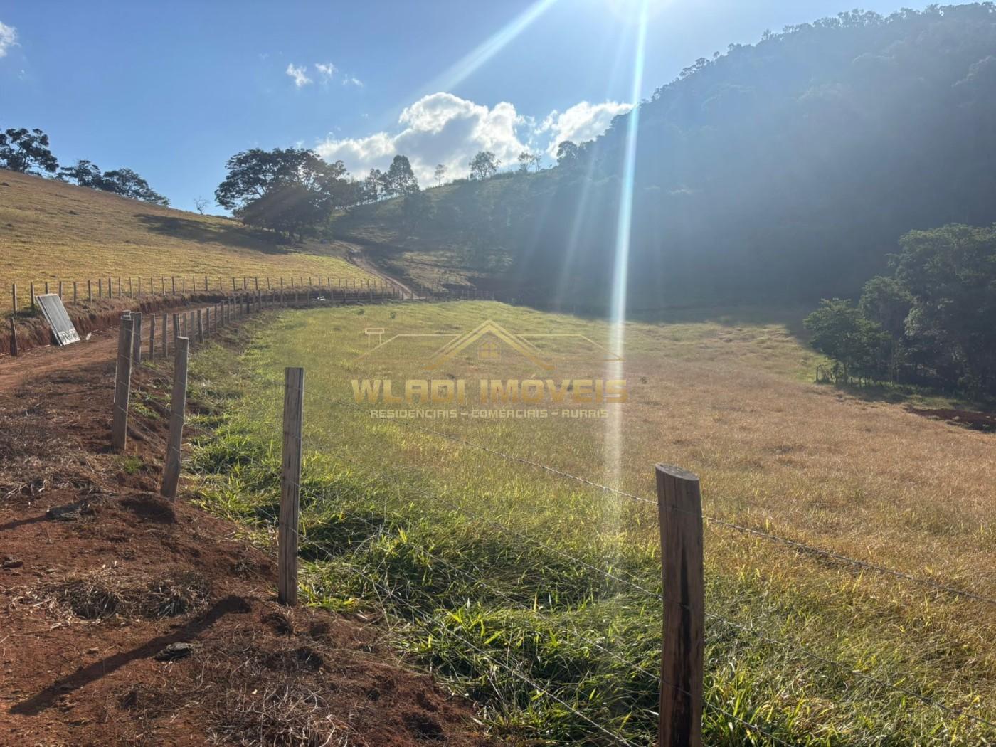 Chácara, 2 hectares - Foto 13