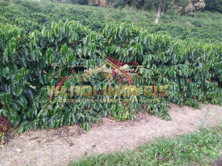 Fazenda, 137 m² - Foto 5