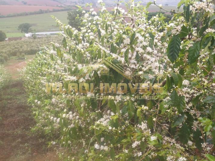 Fazenda, 137 m² - Foto 7