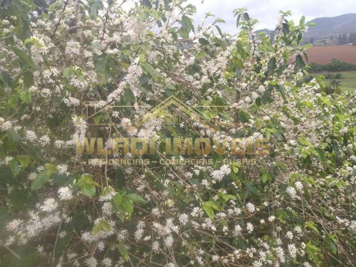 Fazenda, 137 m² - Foto 13