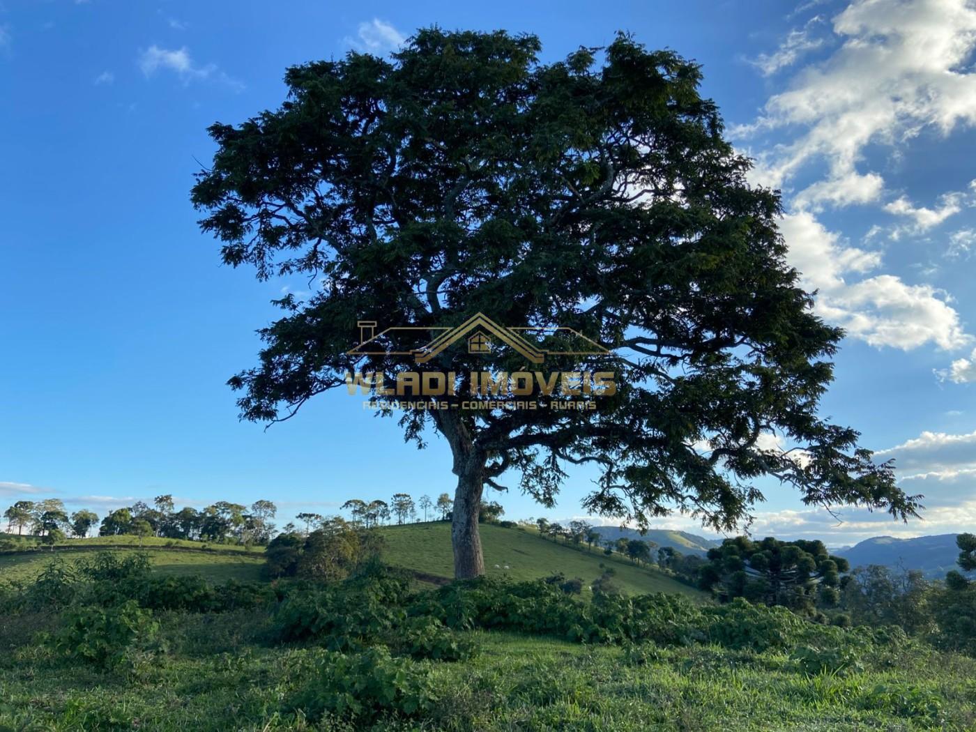 Terreno, 4 m² - Foto 27