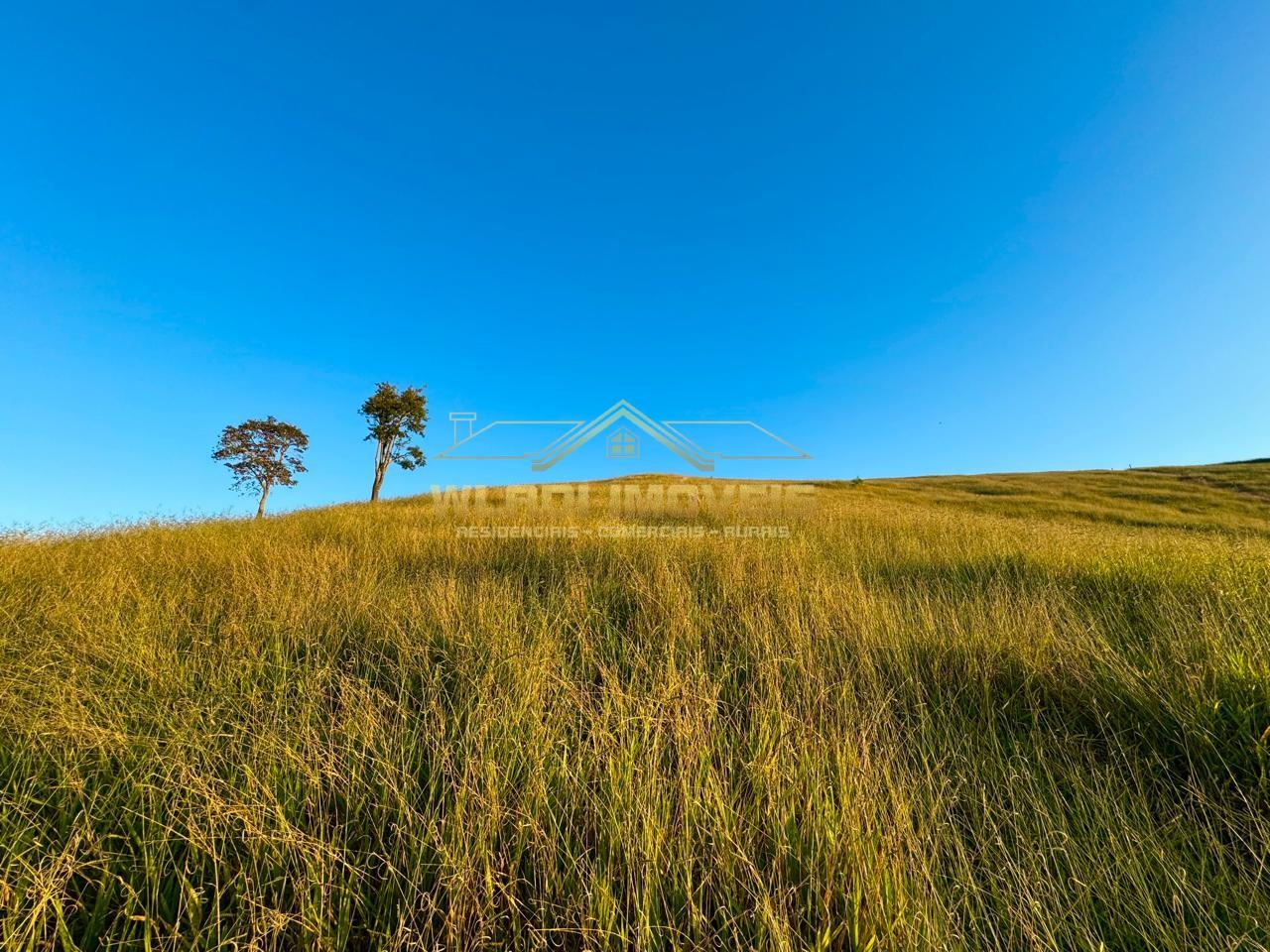 Terreno, 2 hectares - Foto 4