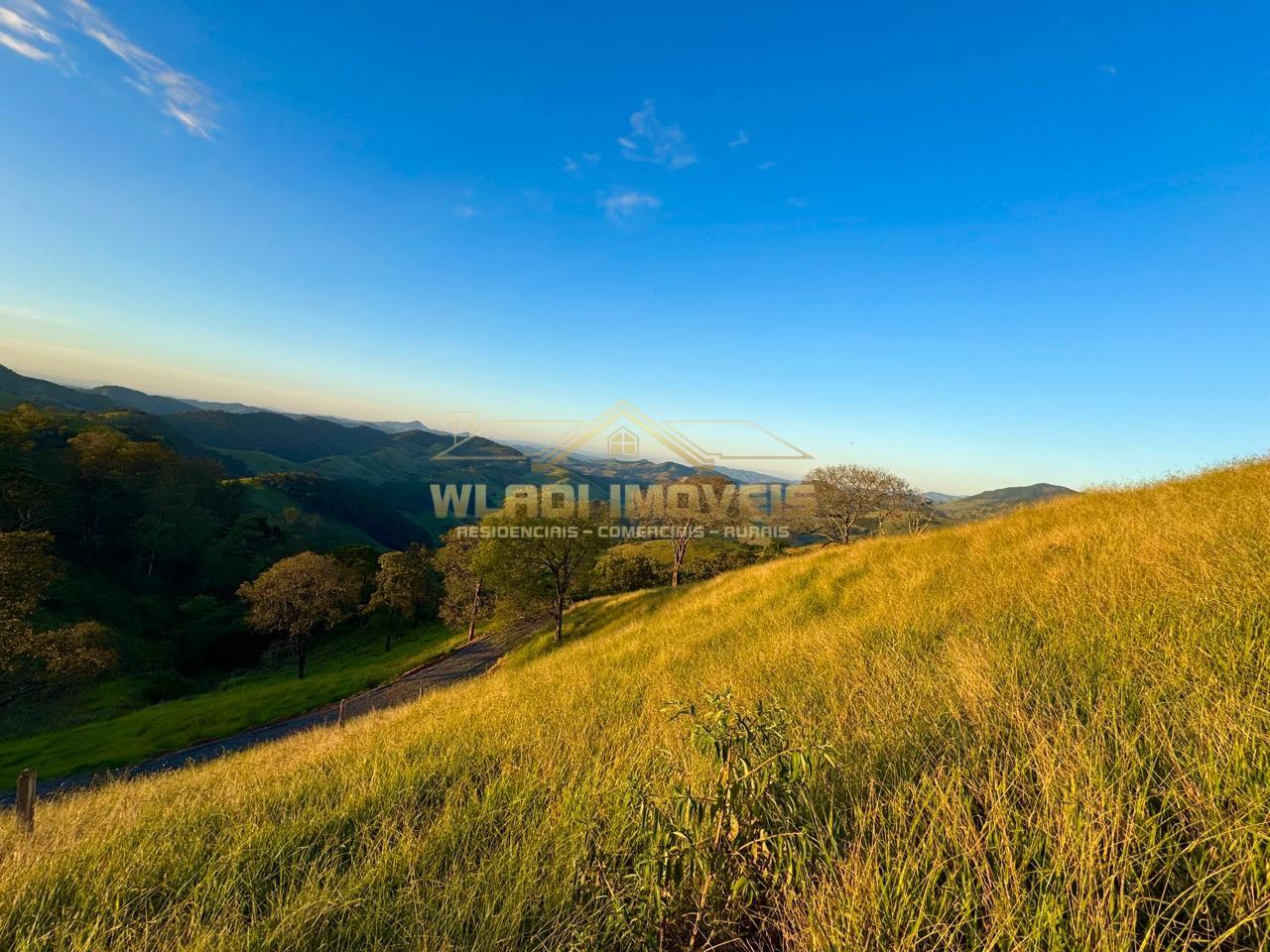 Terreno, 2 hectares - Foto 3