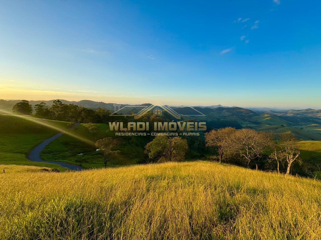 Terreno, 2 hectares - Foto 2