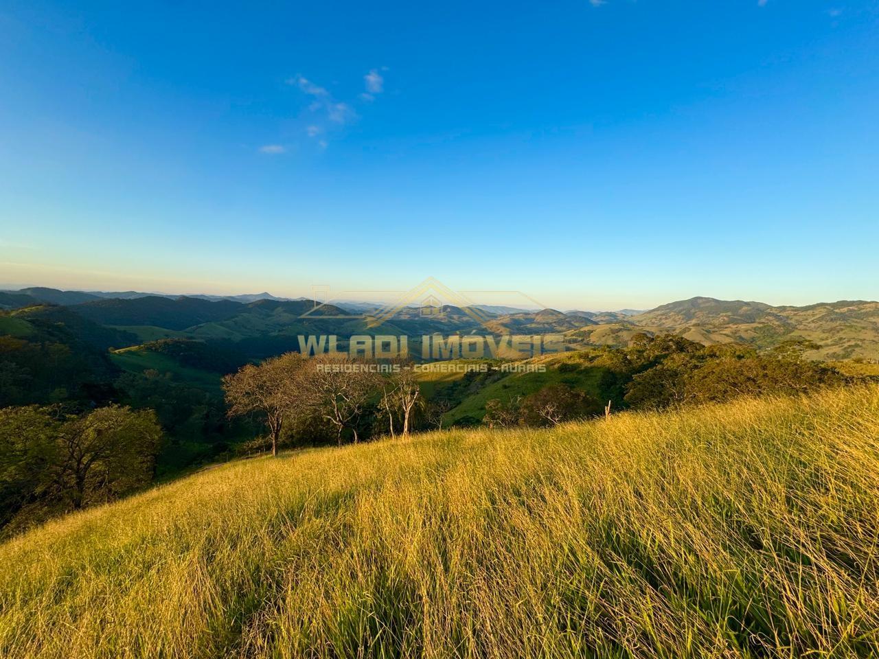 Terreno, 2 hectares - Foto 6