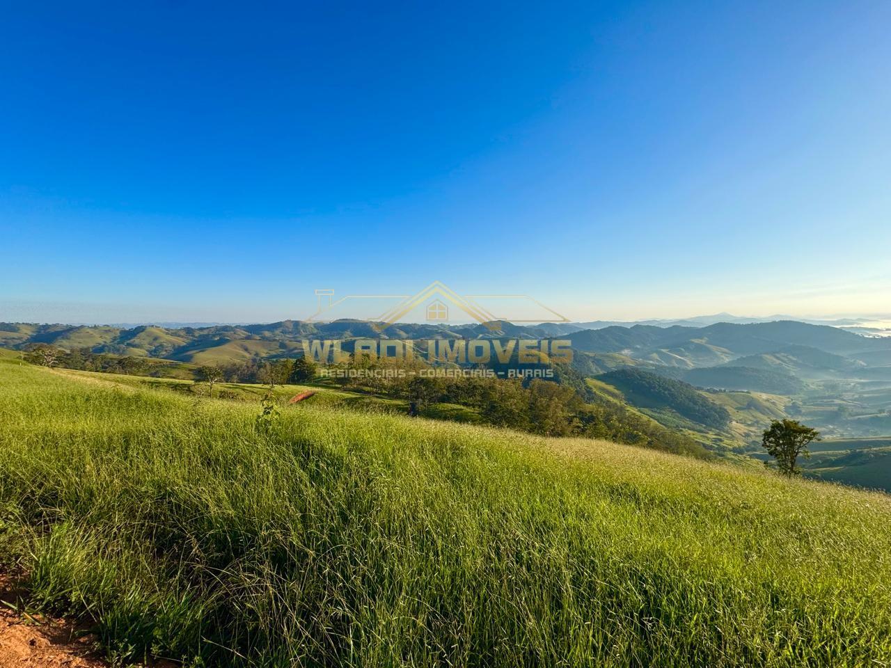 Terreno, 2 hectares - Foto 8