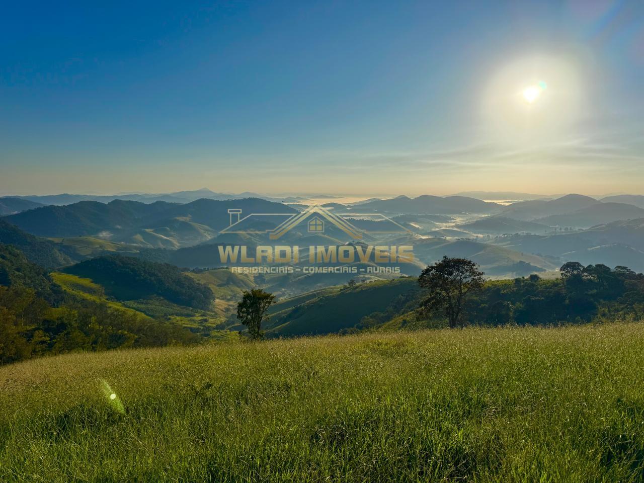 Terreno, 2 hectares - Foto 9