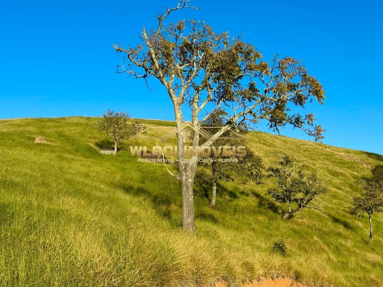 Terreno, 2 hectares - Foto 11