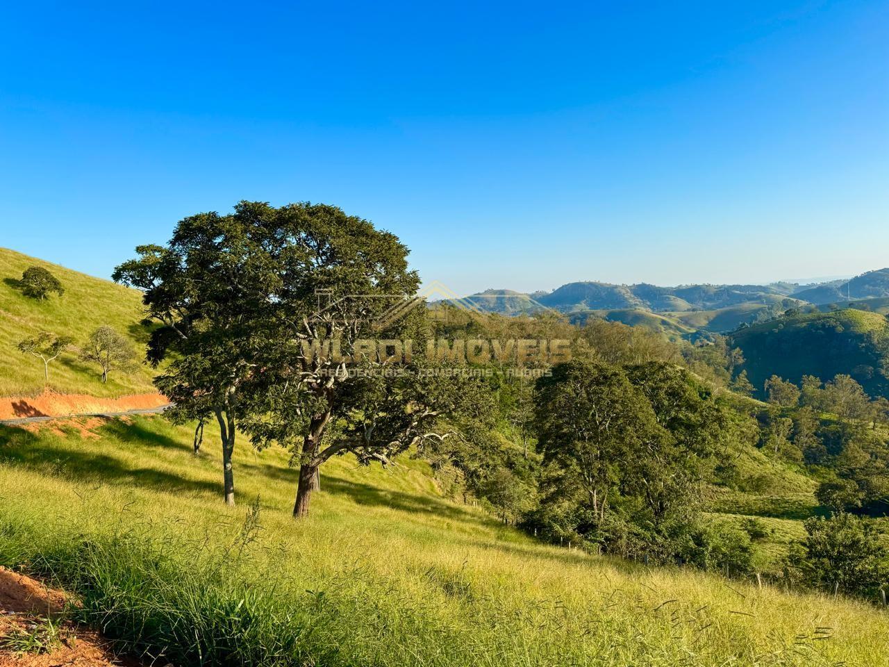 Terreno, 2 hectares - Foto 10