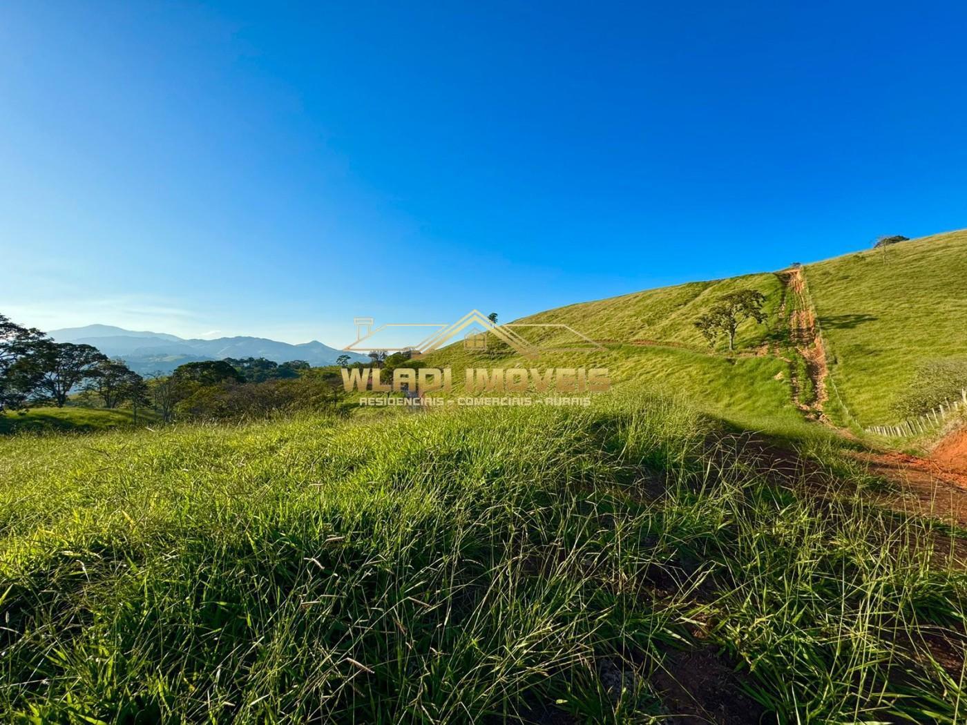 Terreno, 2 hectares - Foto 12