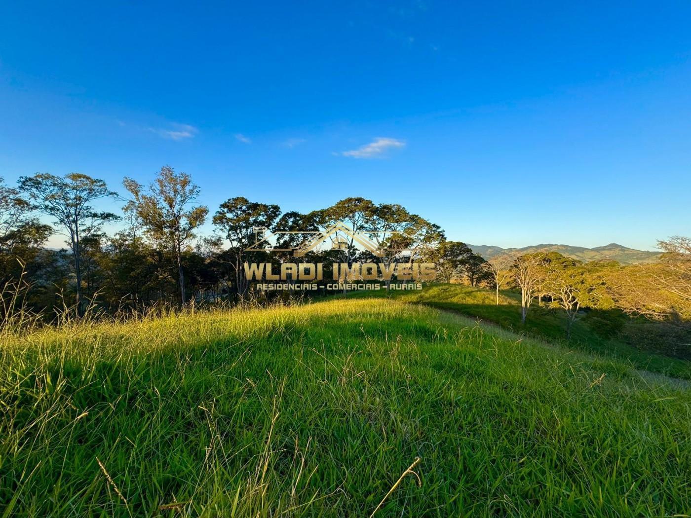 Terreno, 2 hectares - Foto 14