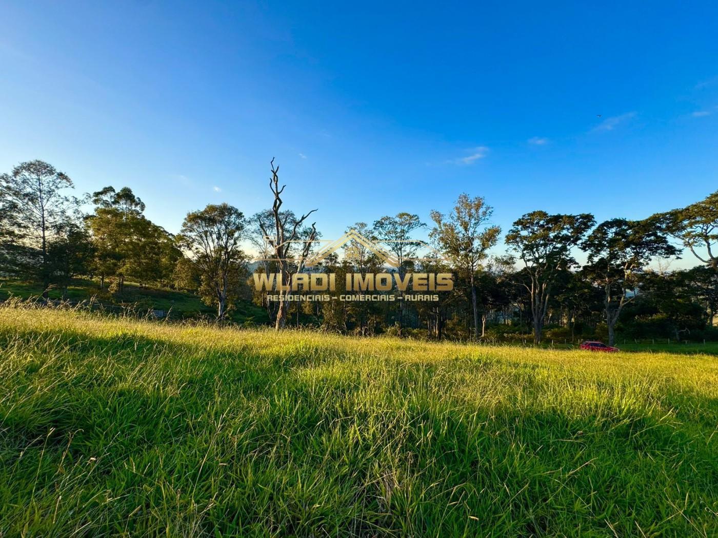 Terreno, 2 hectares - Foto 15