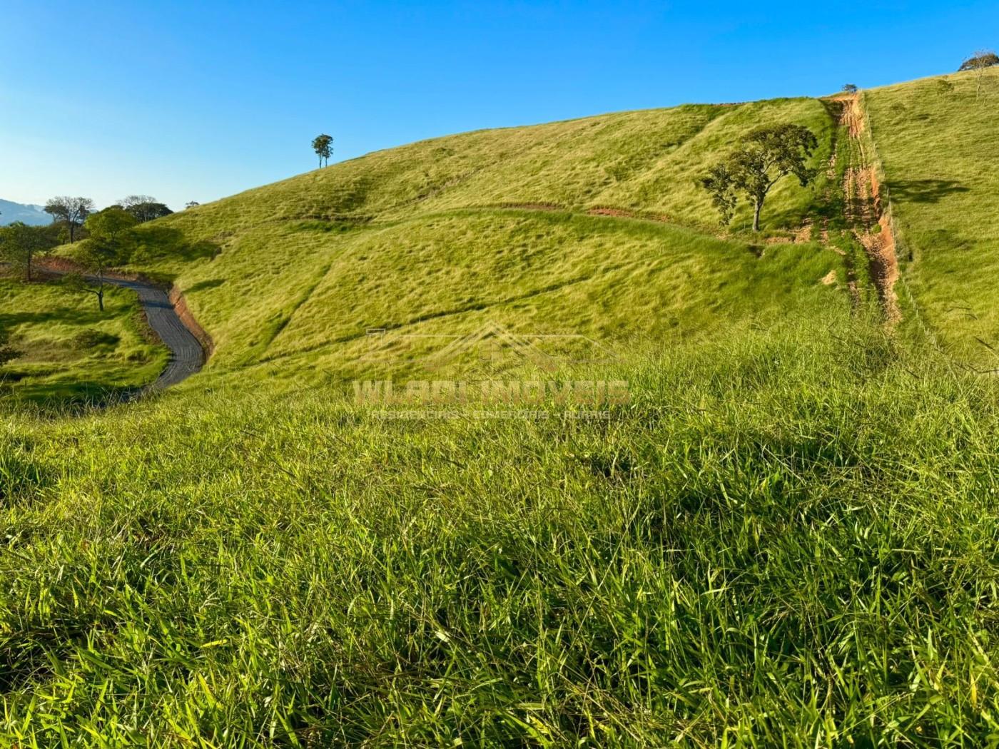 Terreno, 2 hectares - Foto 16
