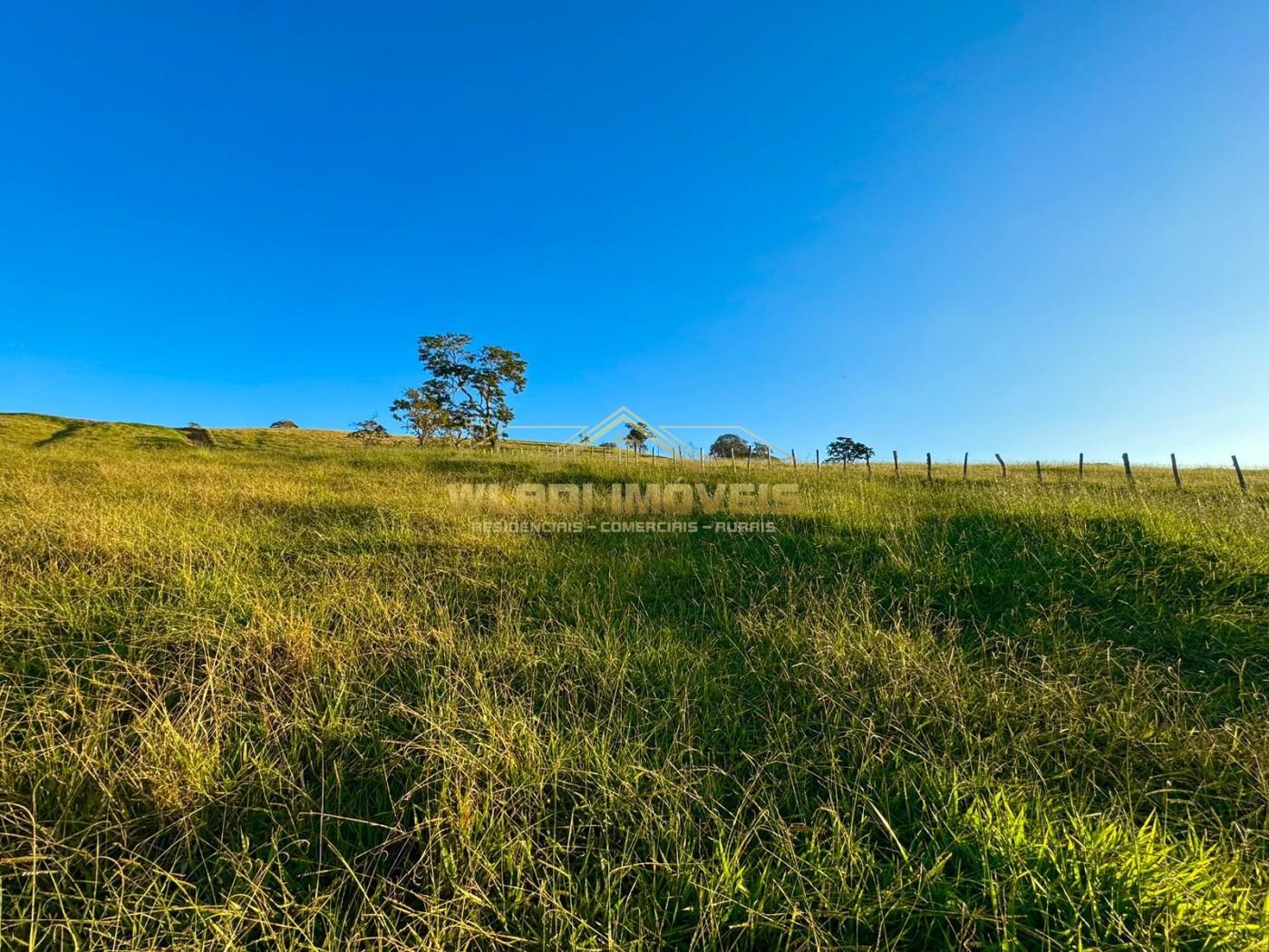 Terreno, 2 hectares - Foto 17