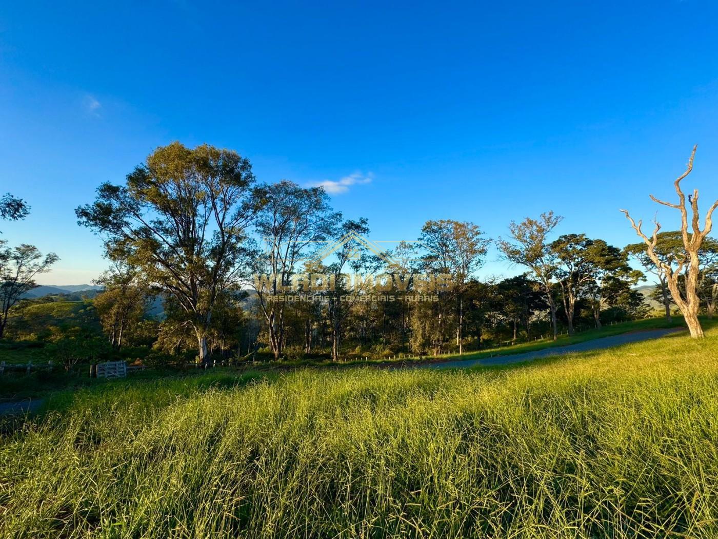 Terreno, 2 hectares - Foto 18