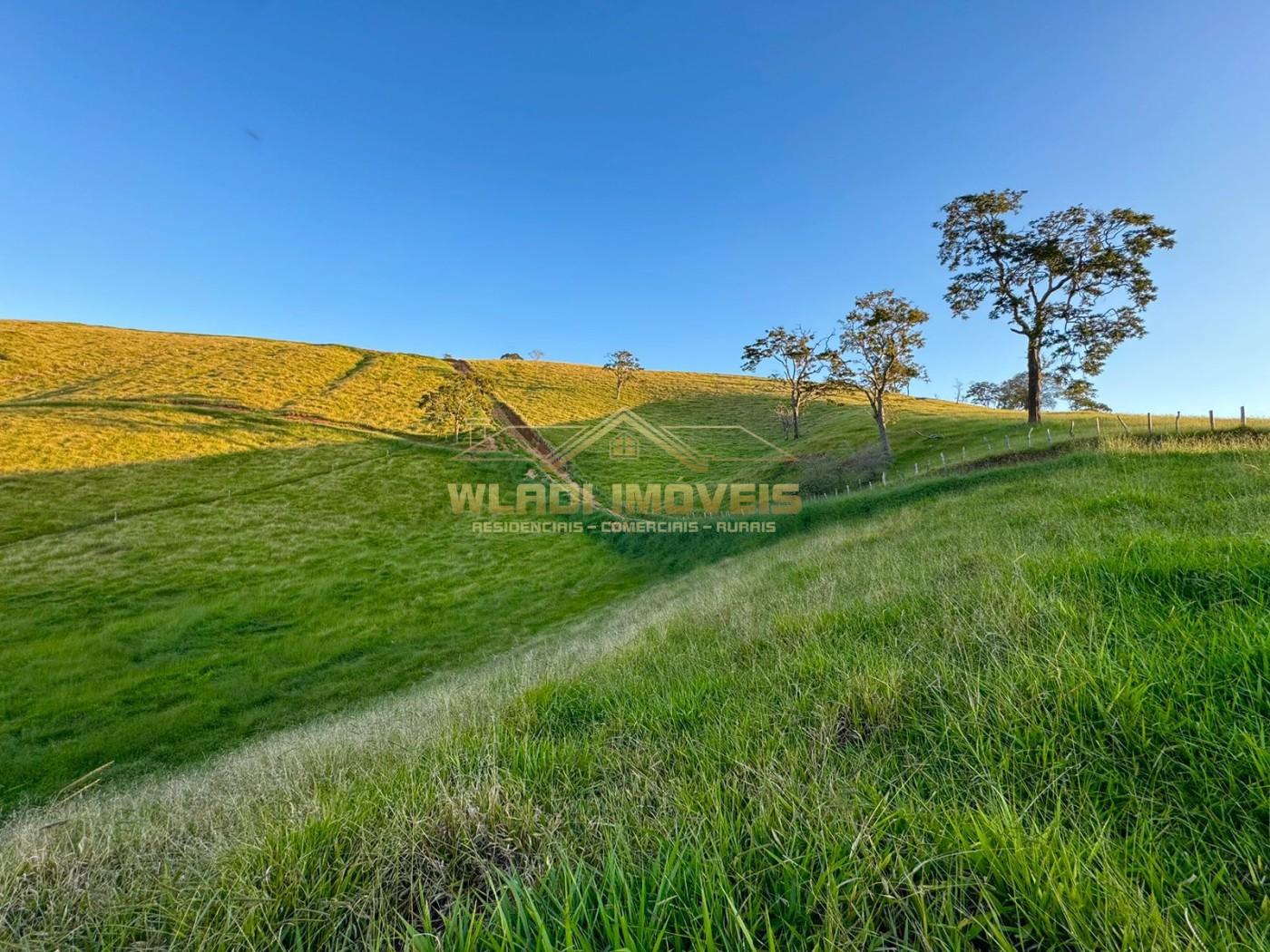 Terreno, 2 hectares - Foto 19