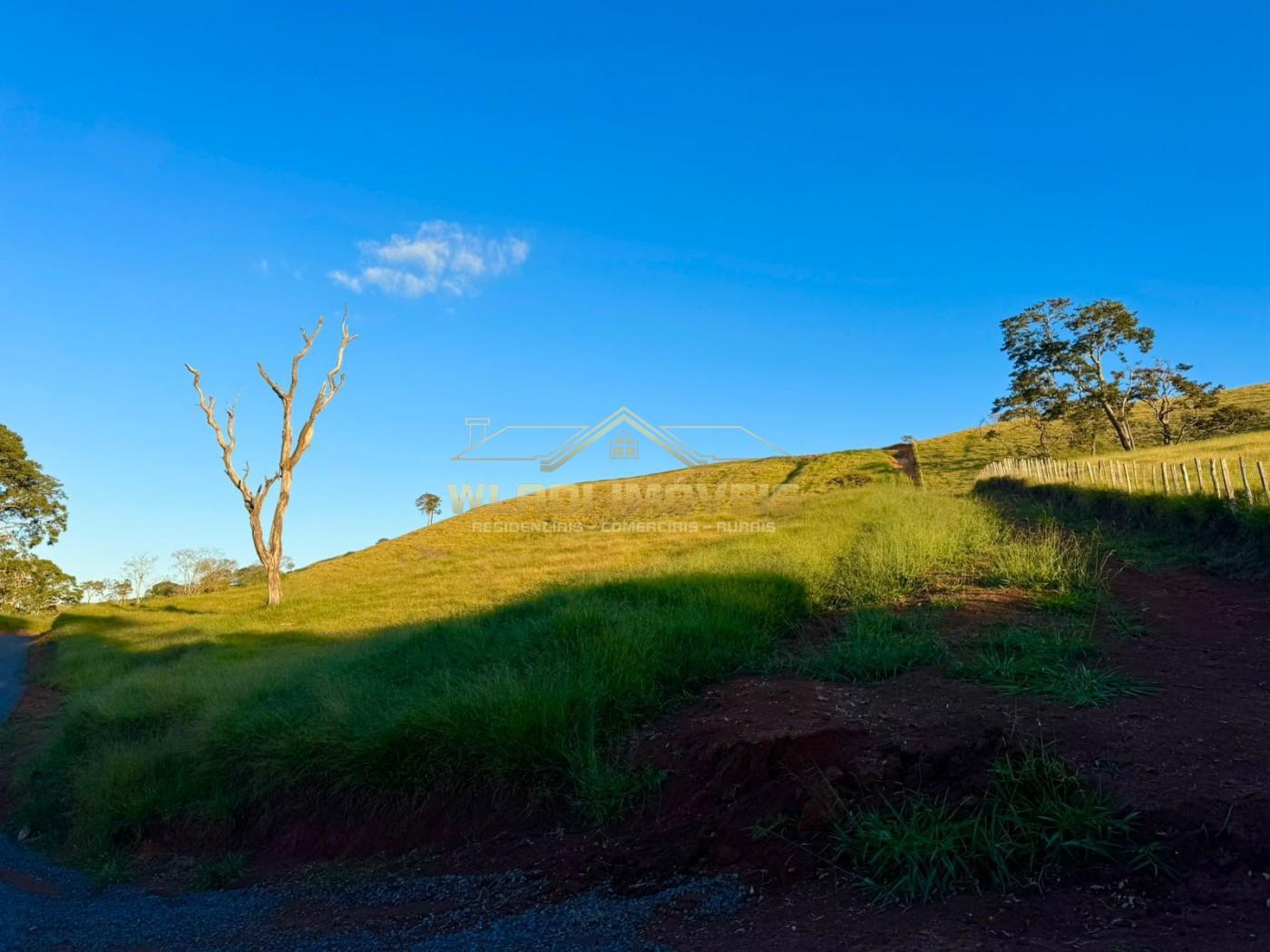 Terreno, 2 hectares - Foto 20