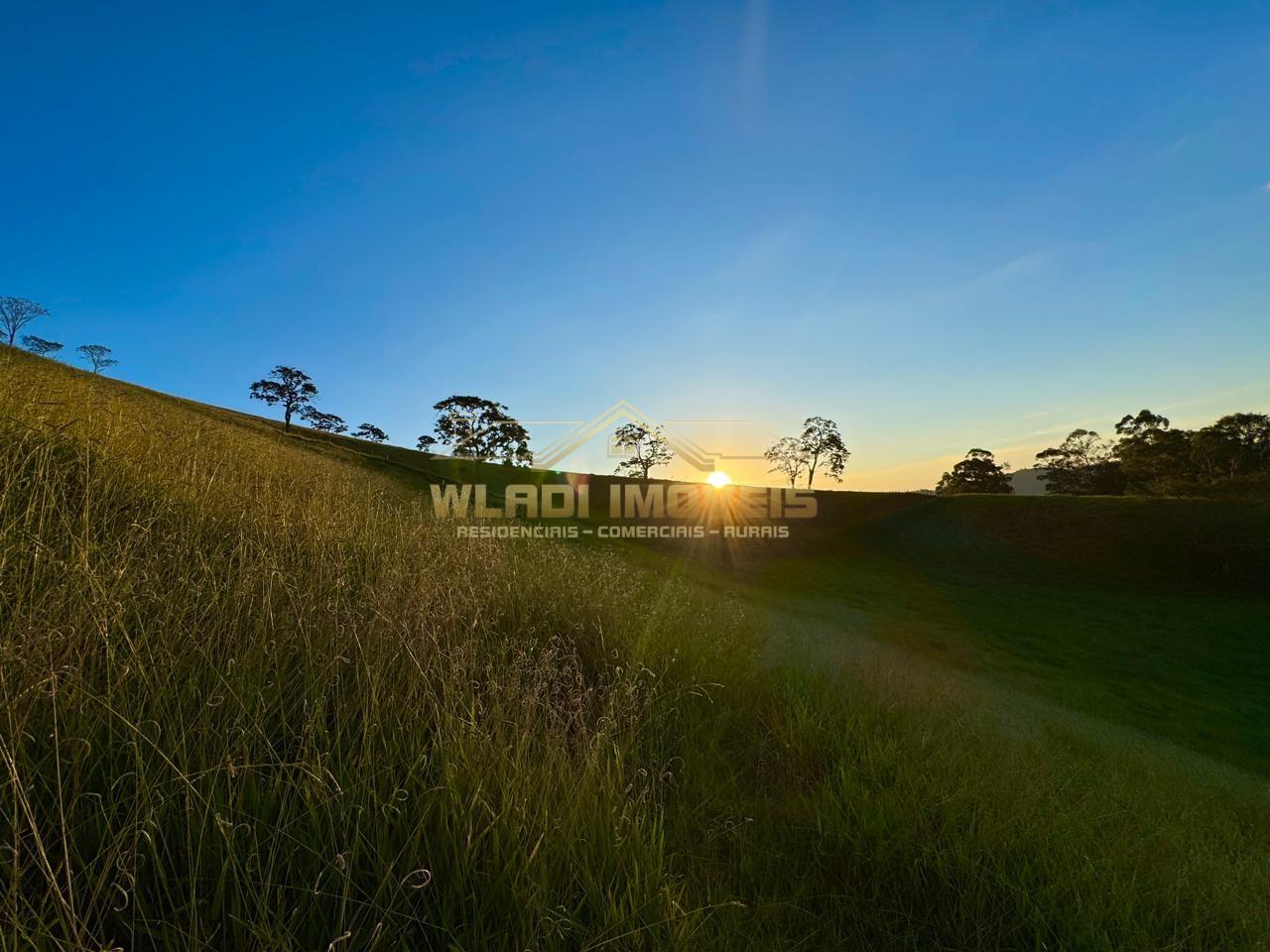 Terreno, 2 hectares - Foto 23