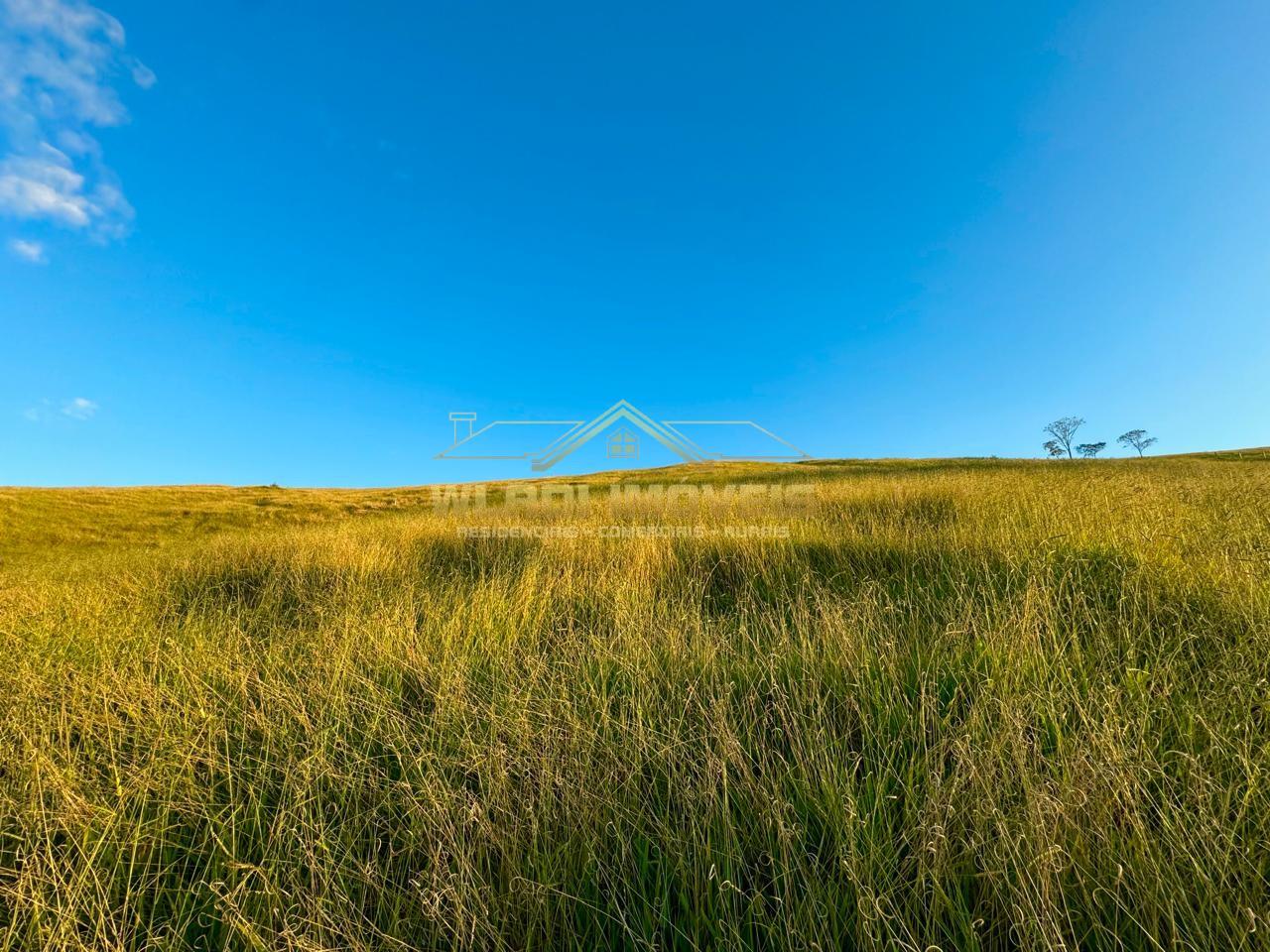 Terreno, 2 hectares - Foto 24