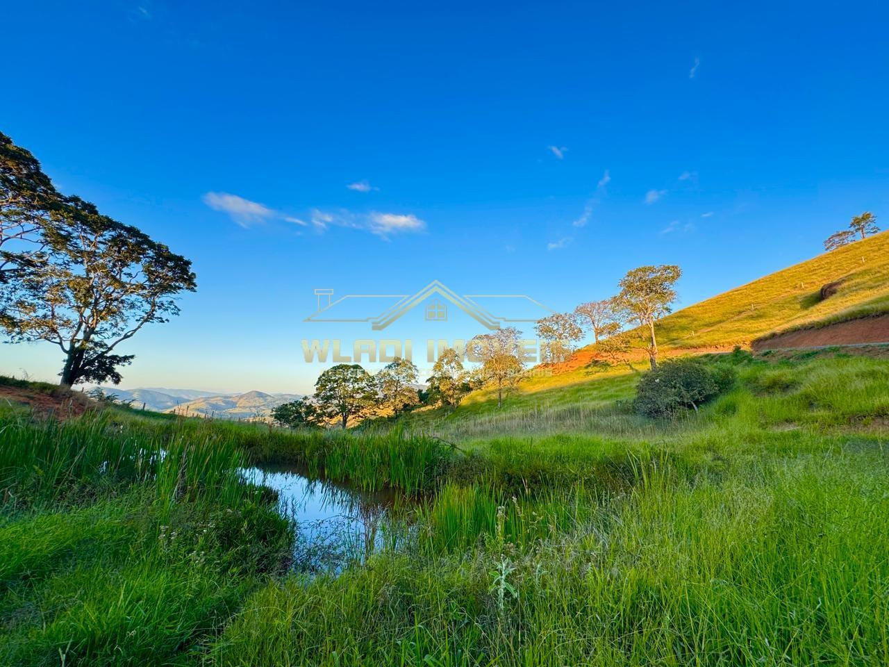 Terreno, 2 hectares - Foto 21