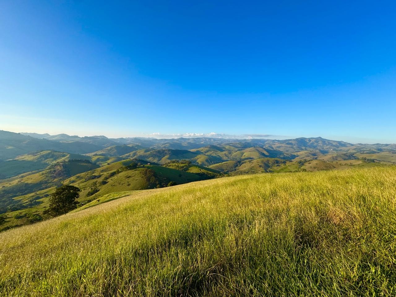 Terreno, 2 hectares - Foto 29