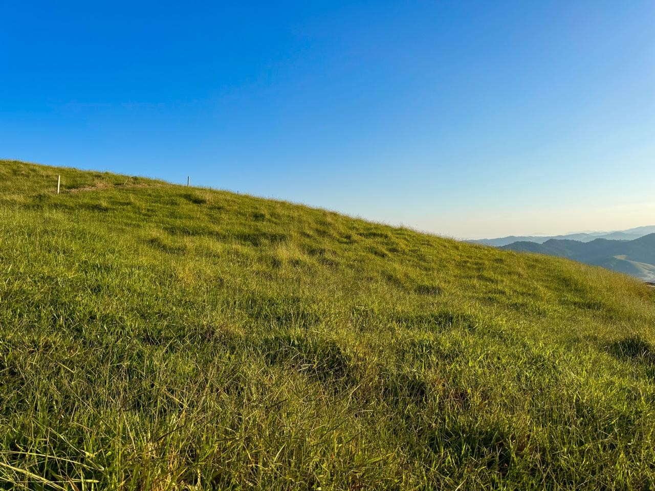 Terreno, 2 hectares - Foto 30