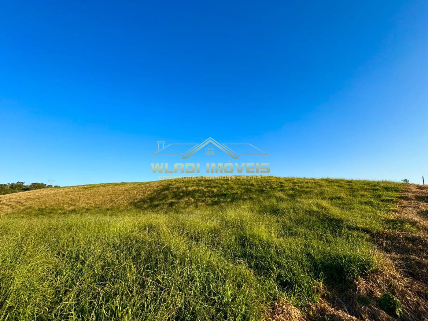 Terreno, 2 hectares - Foto 41