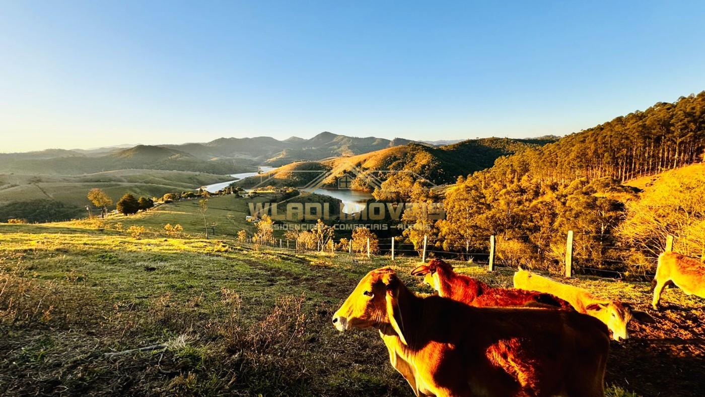 Sítio, 18 m² - Foto 3