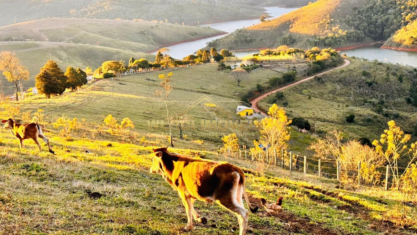 Sítio, 18 m² - Foto 1