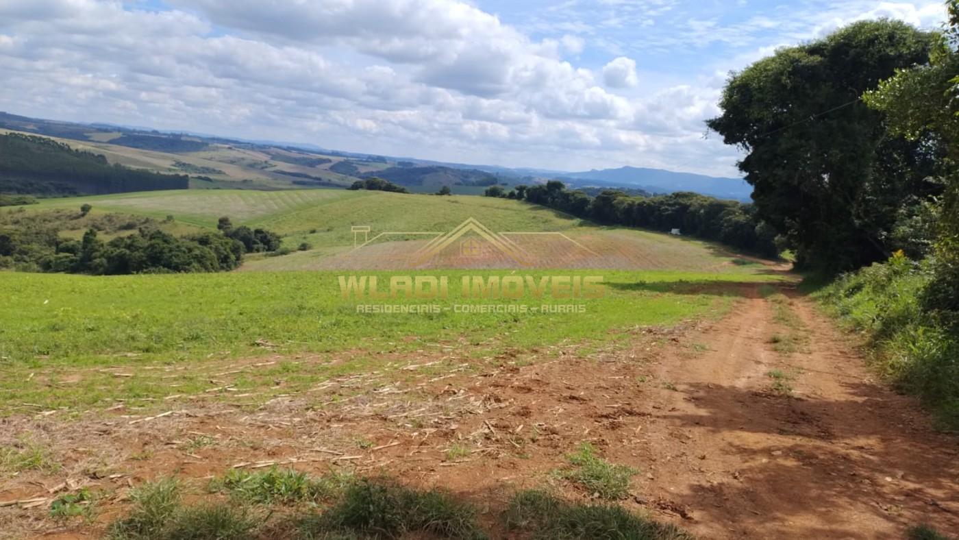 Fazenda, 160 m² - Foto 6