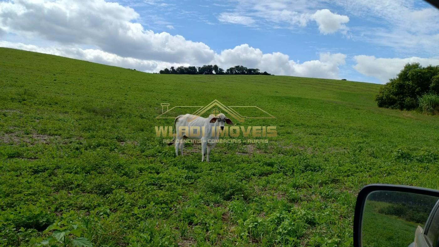 Fazenda, 160 m² - Foto 2