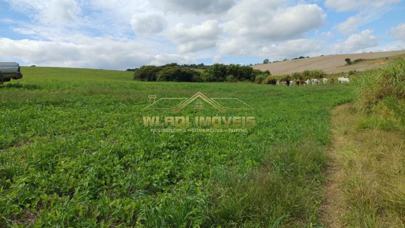 Fazenda, 160 m² - Foto 8