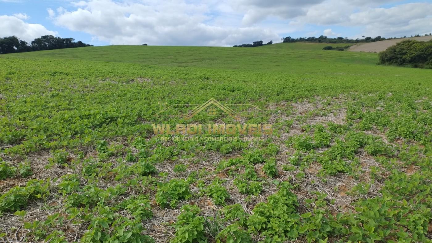 Fazenda, 160 m² - Foto 9