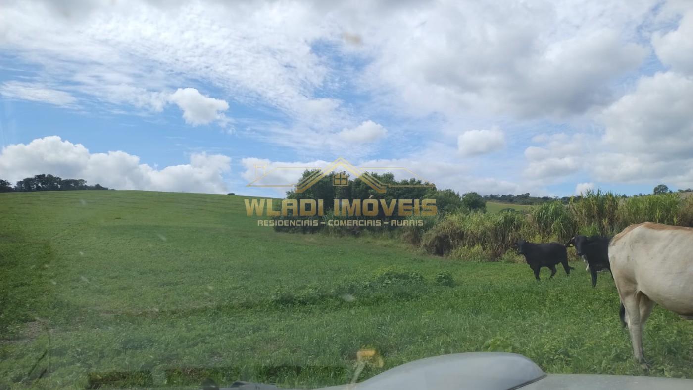 Fazenda, 160 m² - Foto 10